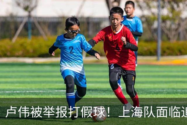 卢伟被举报打假球！上海队面临追罚，张镇麟坑惨球队